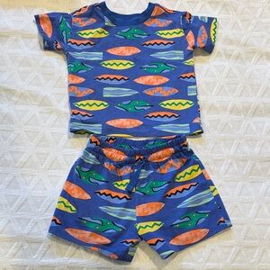 Hanna Andersson Boys matching set